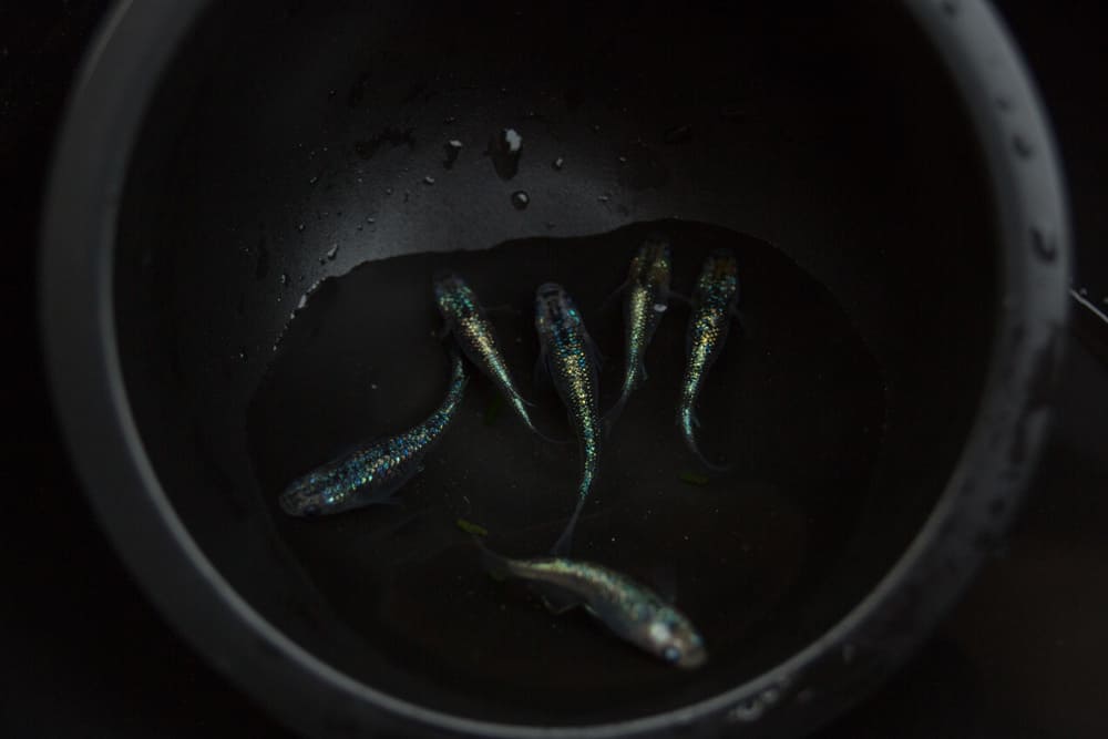 販売計画が立てられない